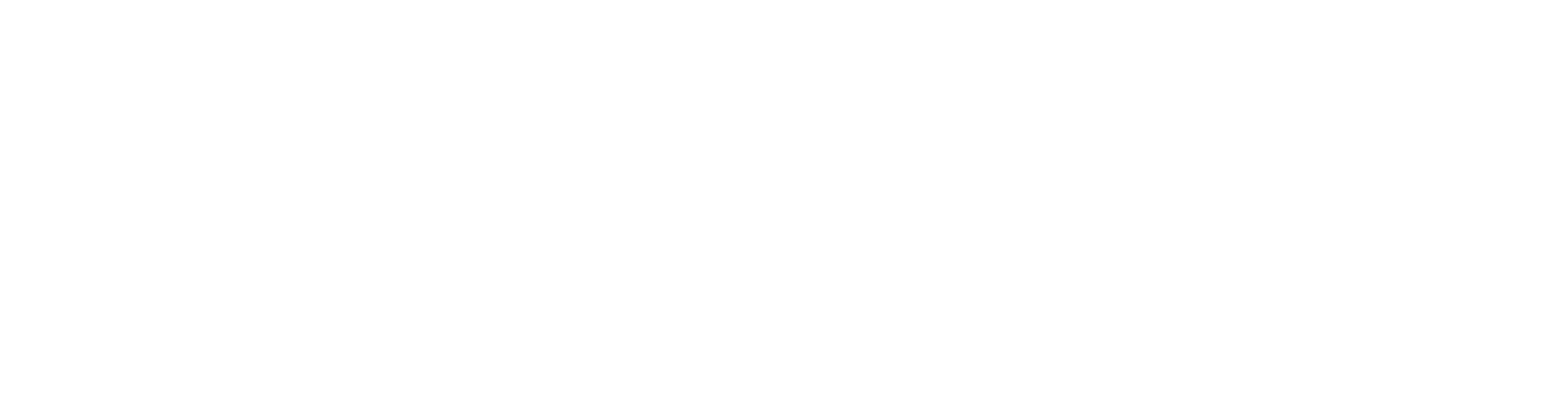 PresentID logo - light version